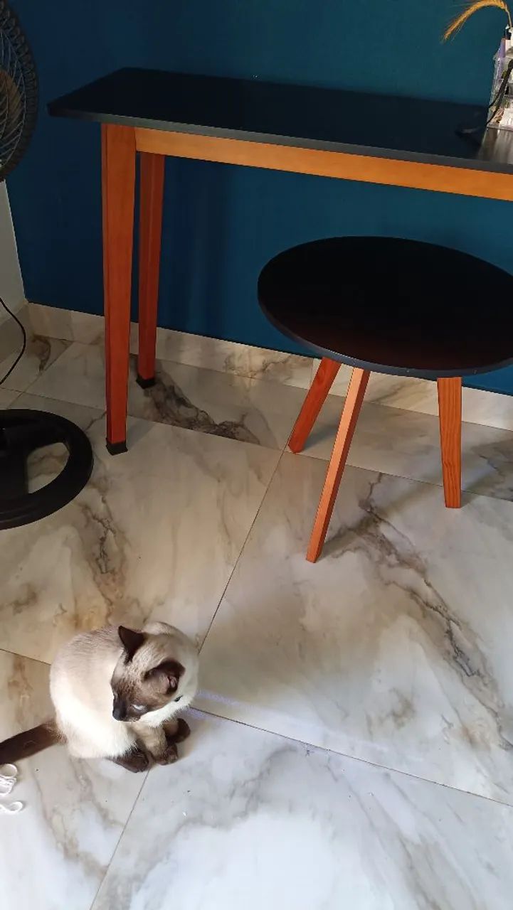 Conjunto aparador e mesinha 