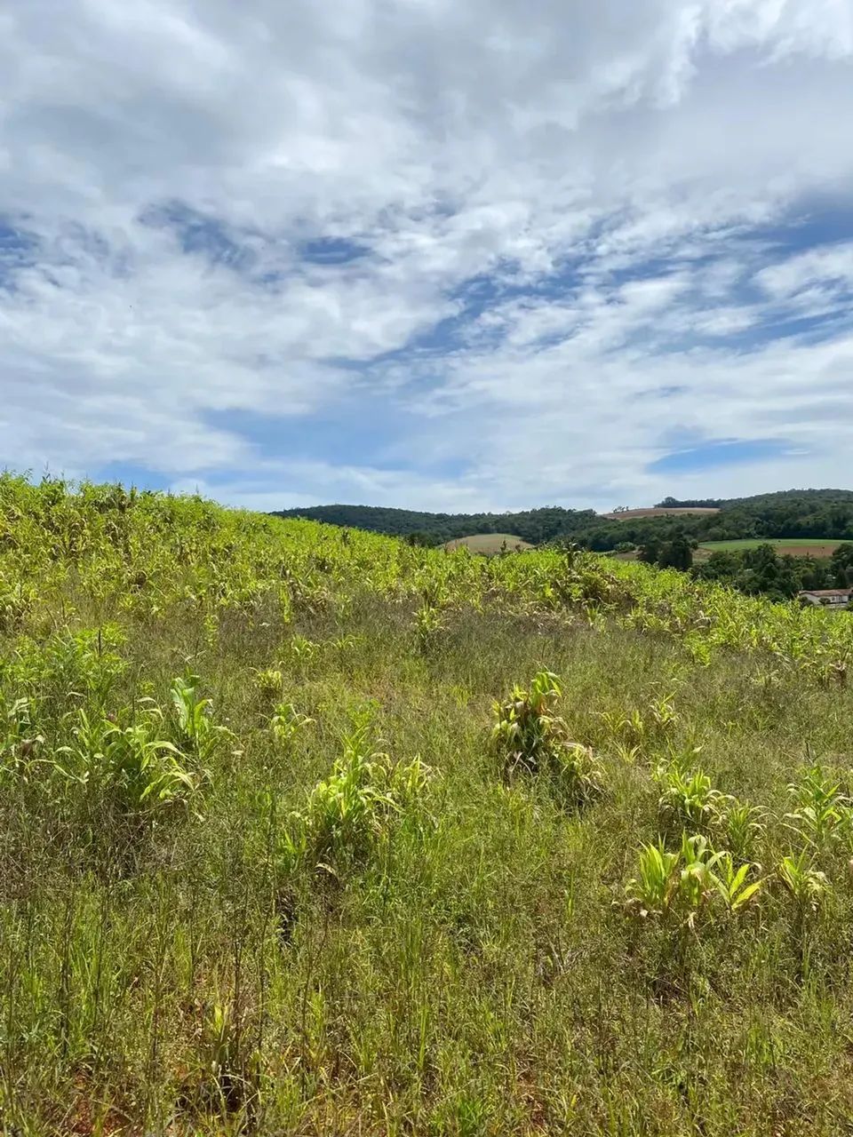 Lotes para venda possui 1000 metros quadrados em Colégio - Ibiúna - SP - Foto 5