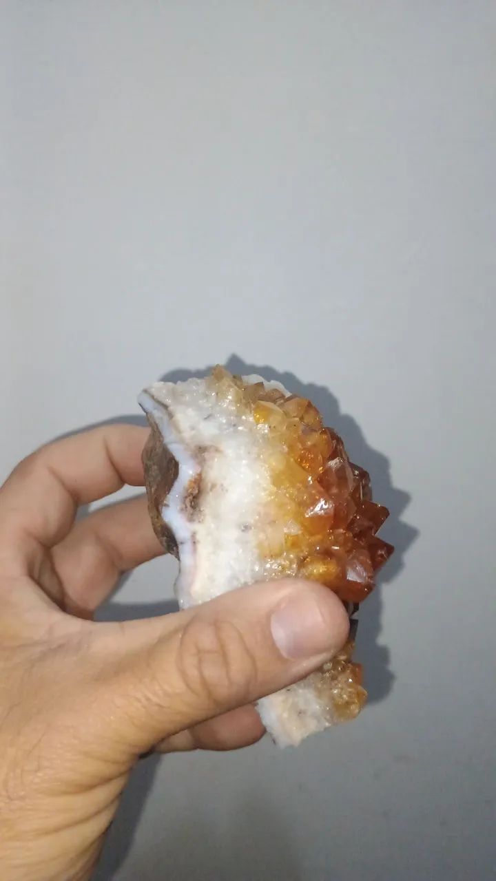 Flor de citrino queimado  - Foto 4
