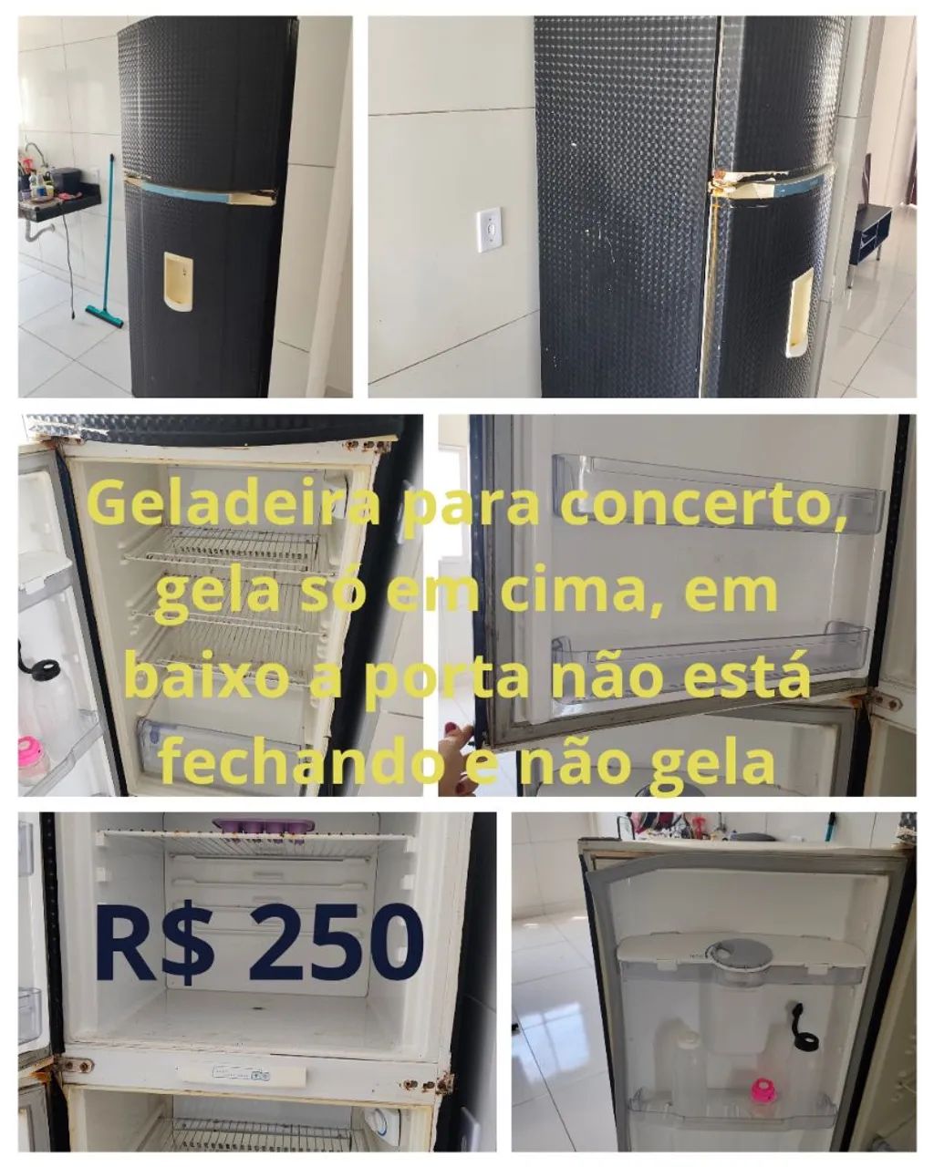 Geladeira para concerto