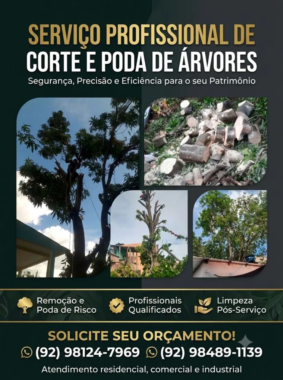 Corte e podas de árvores 