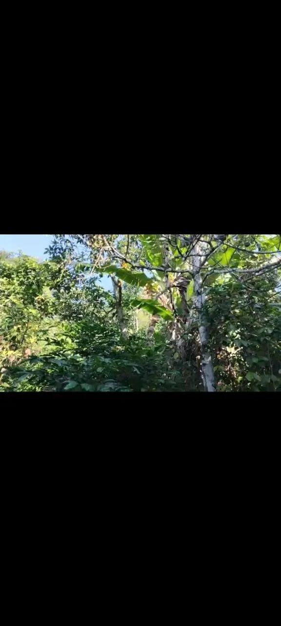 ? SÍTIO À VENDA - TRANQUILIDADE, NATUREZA E QUALIDADE DE VIDA! - Foto 2