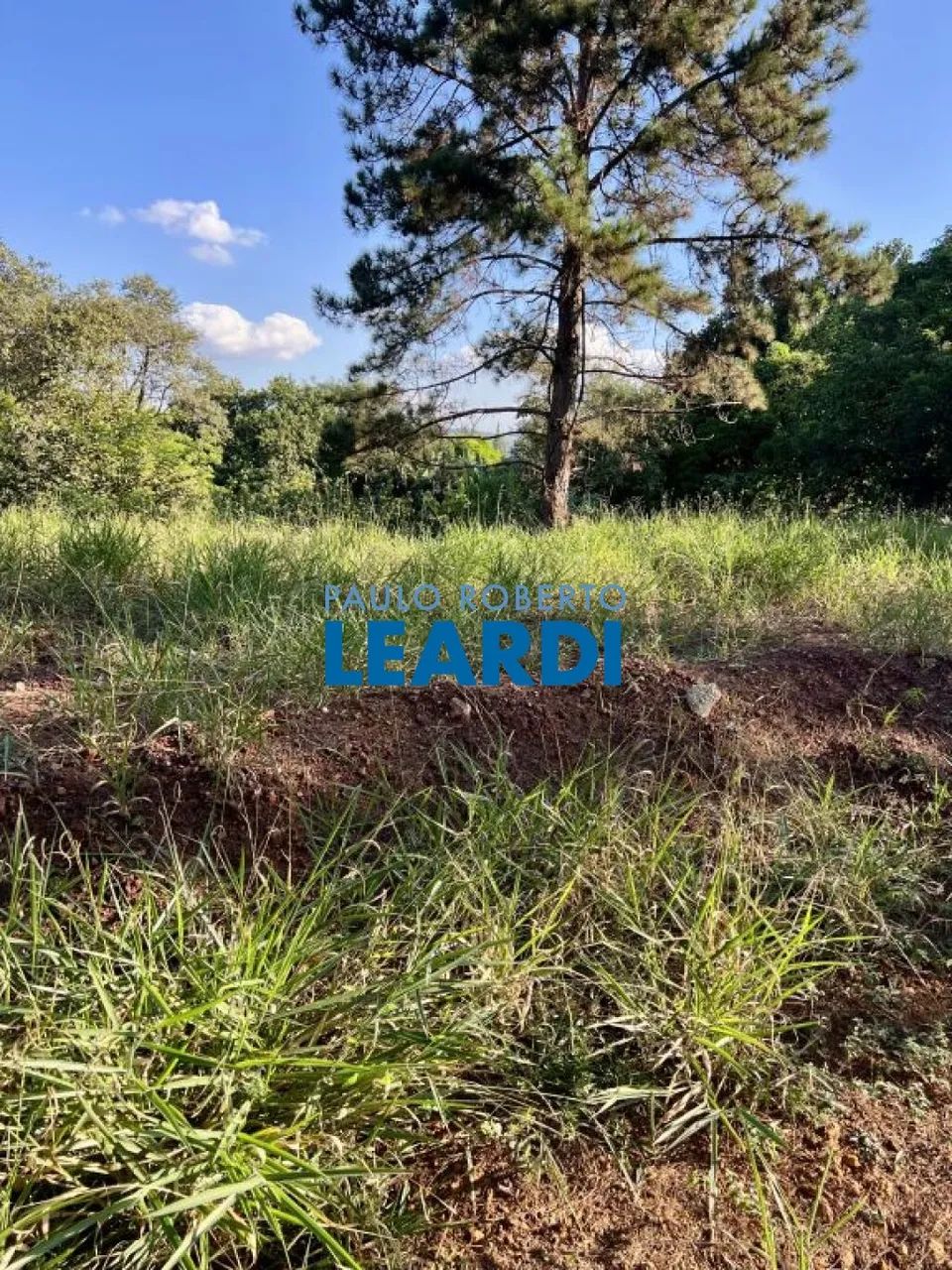 TERRENO EM CONDOMÍNIO - VILA VELHA - SP