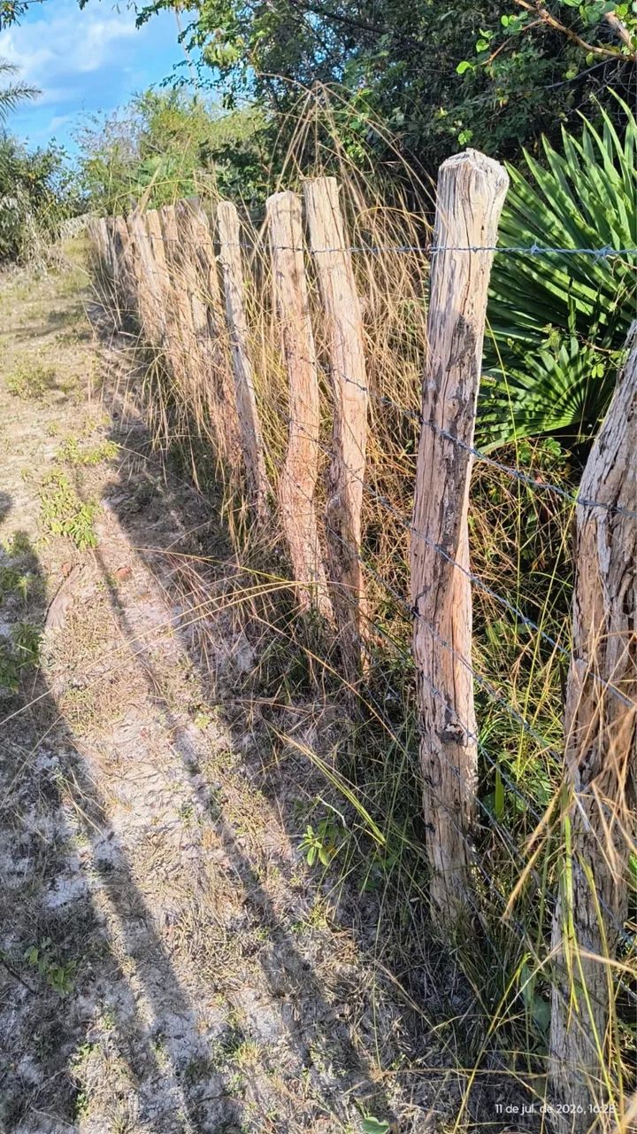 Terreno de 10 hectares 