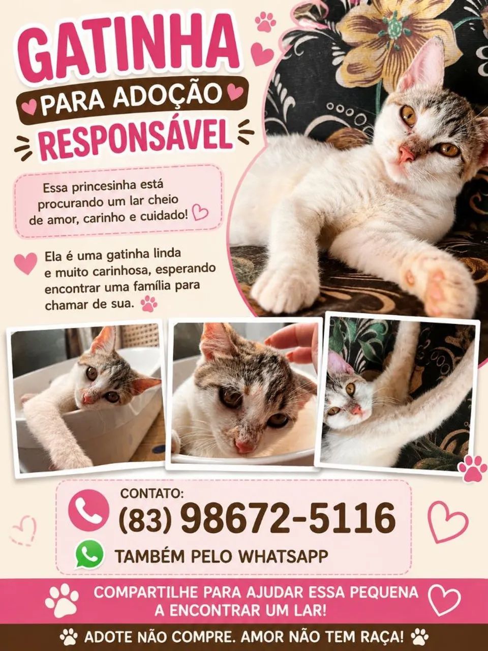 Adoção/ doação responsável 