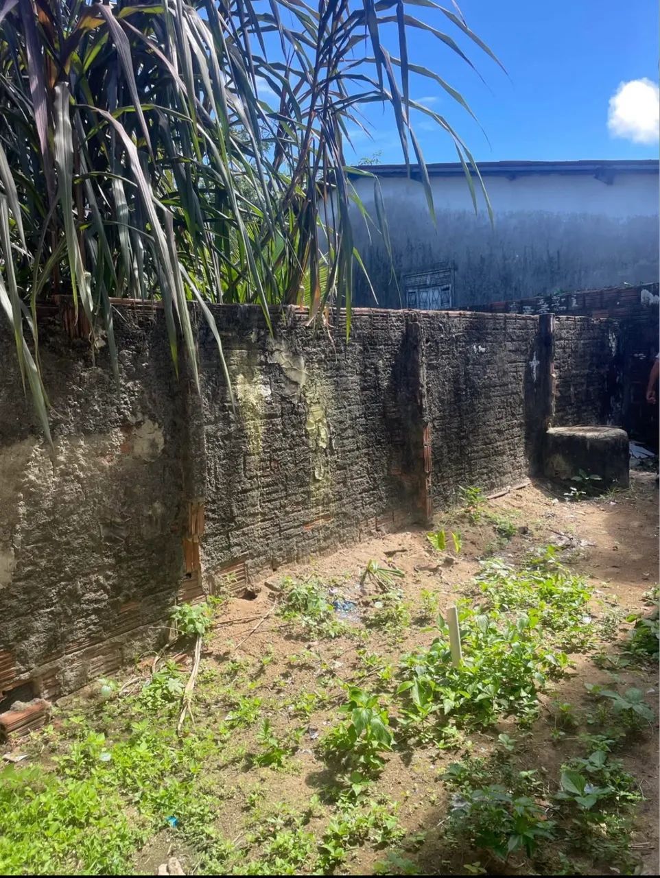 CASA ZONA POMPÉIA  - Foto 4