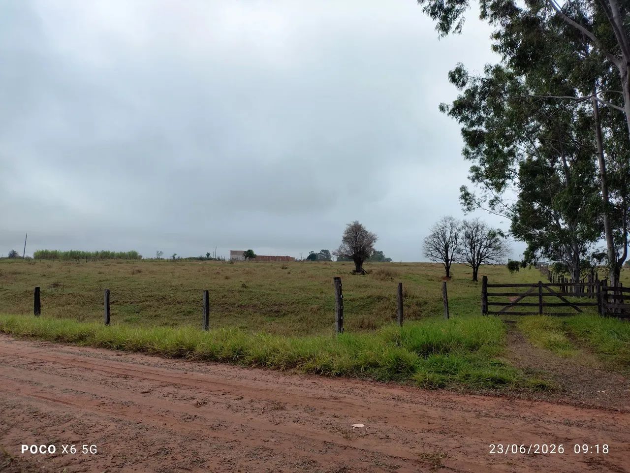 Vendo sitio com 7 alqueires  - Foto 5
