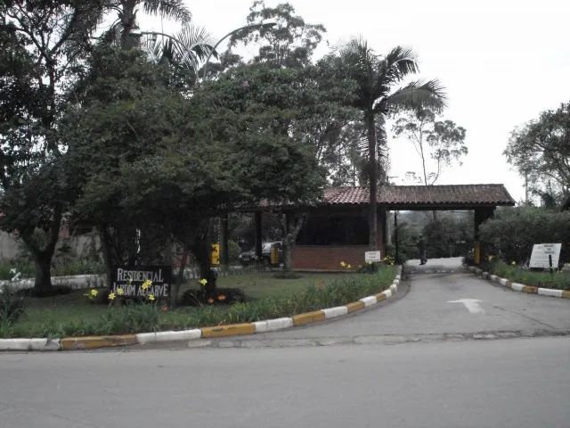 Foto - Cotia - Algarve