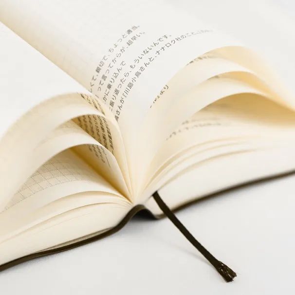 Hobonichi 5 anos caderno Techo - 5 years notebook (A5) 2026-2030 - Foto 3