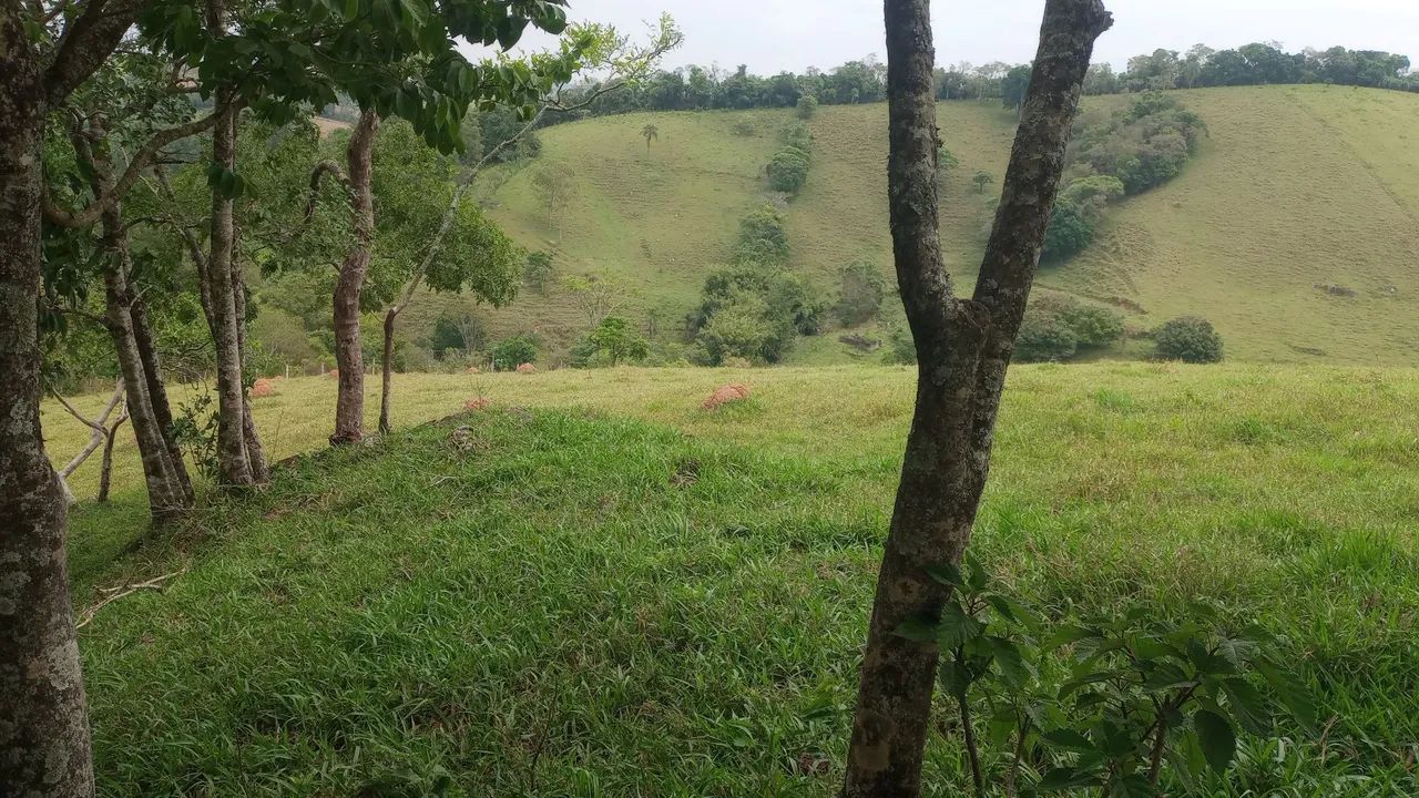 Terreno grande e barato com mina de água  - Foto 2