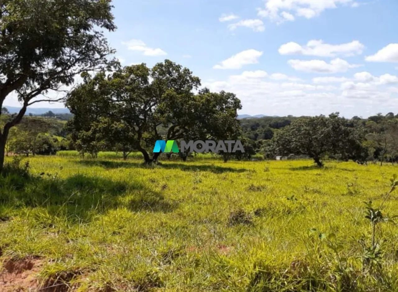 FAZENDA À VENDA - 78 HECTARES - CLÁUDIO (MG) - Foto 3