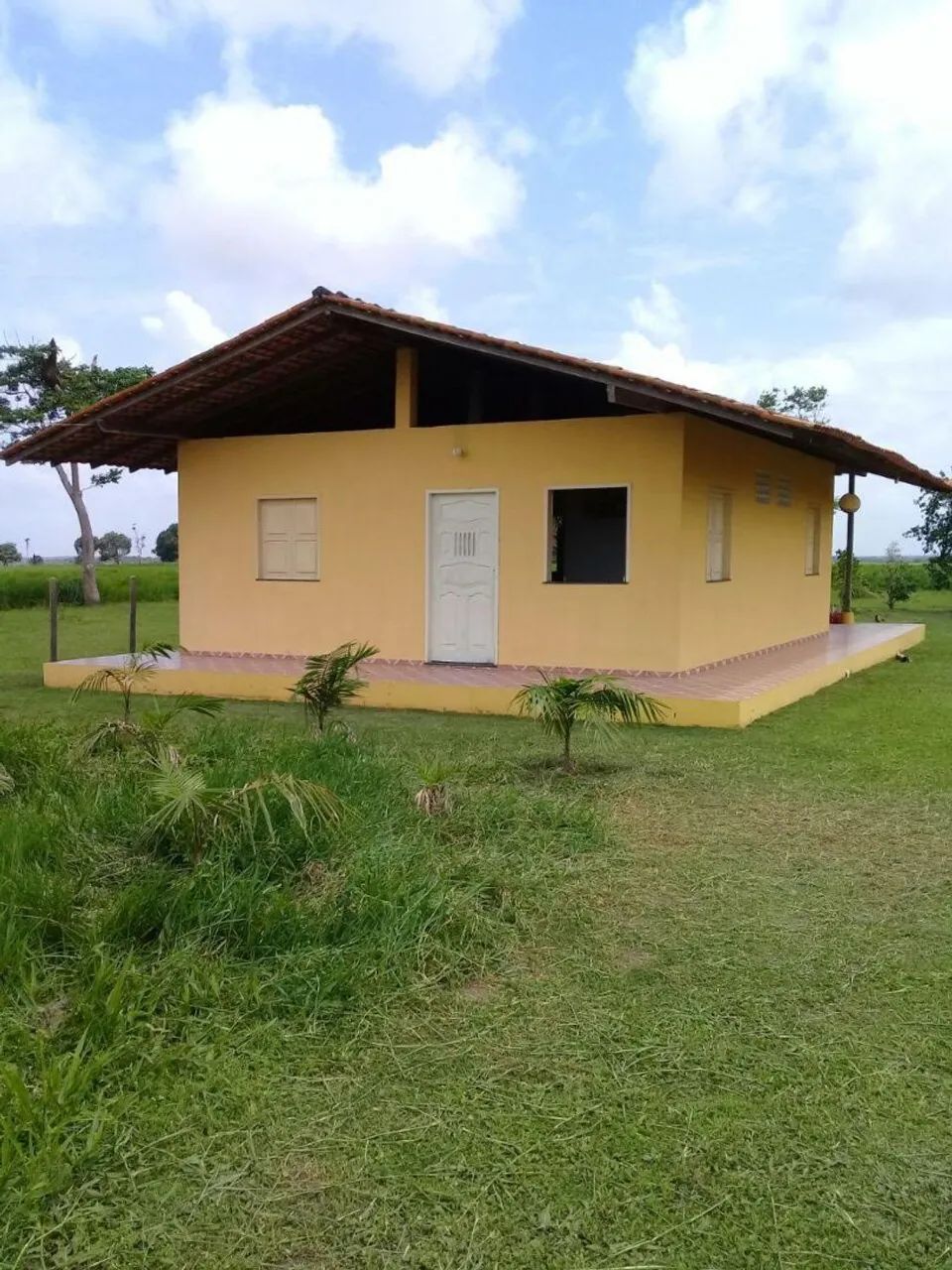 VENDO FAZENDA.  