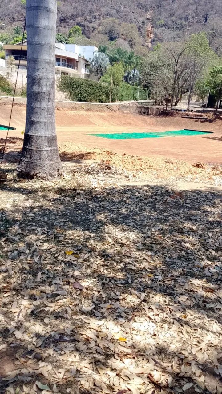Limpeza de lote e muito mais