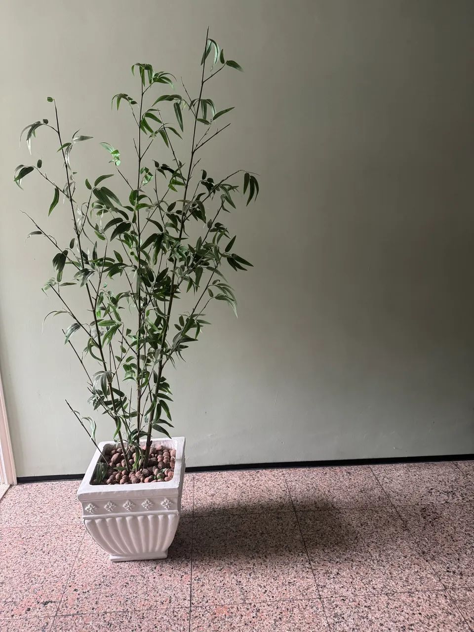 Lindo Vaso decorativo com bambu da sorte artificial - Foto 4