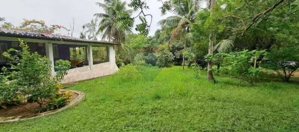 Oportunidade!! Chácara em Pium  6.000M² - Foto 5