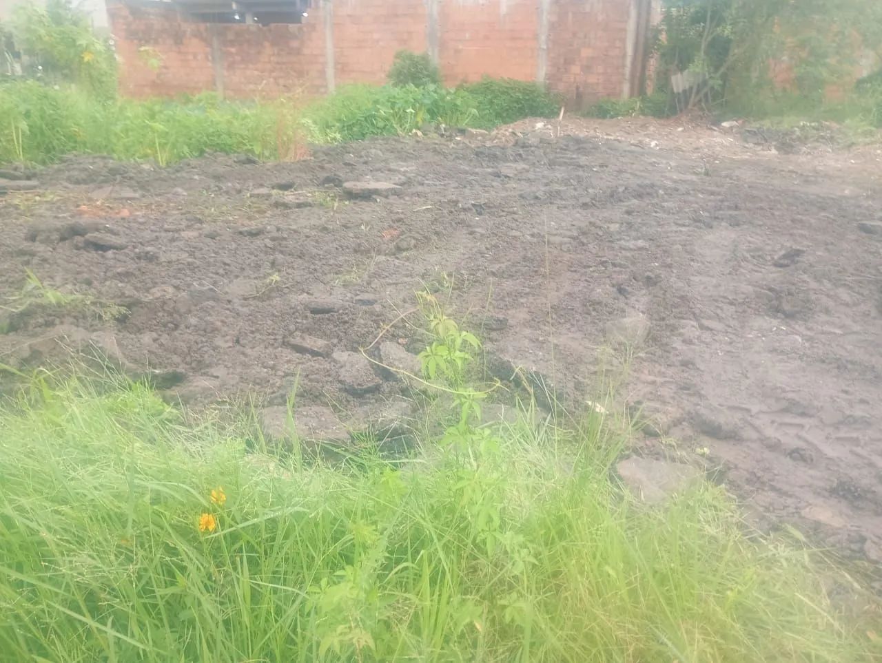 Foto - Guarujá - Conceiçãozinha