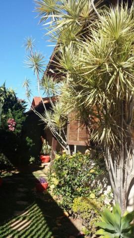 Casa à venda com 4 dormitórios em Serrano, Belo horizonte cod:11961 - Foto 9