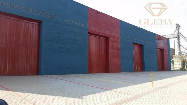 Barracão comercial, Cilo 3, Londrina, 508,82m² BA0008 - Foto 4