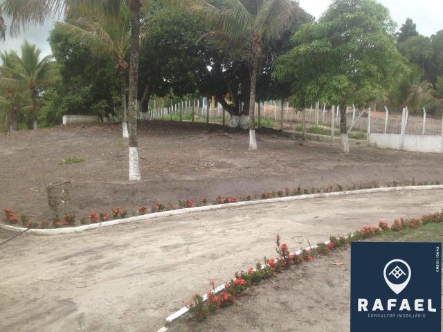 Vendo Chácara em batateira - Foto 9