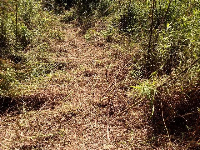Excelente terreno em Teresópolis - Foto 2