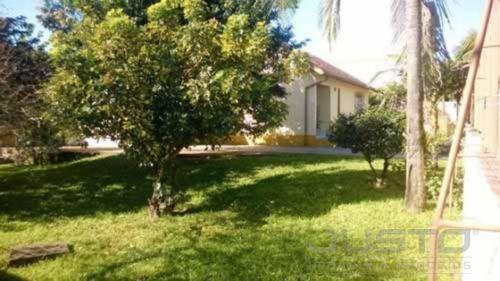 Casa à venda com 4 dormitórios em Morro do espelho, São leopoldo cod:7808 - Foto 14