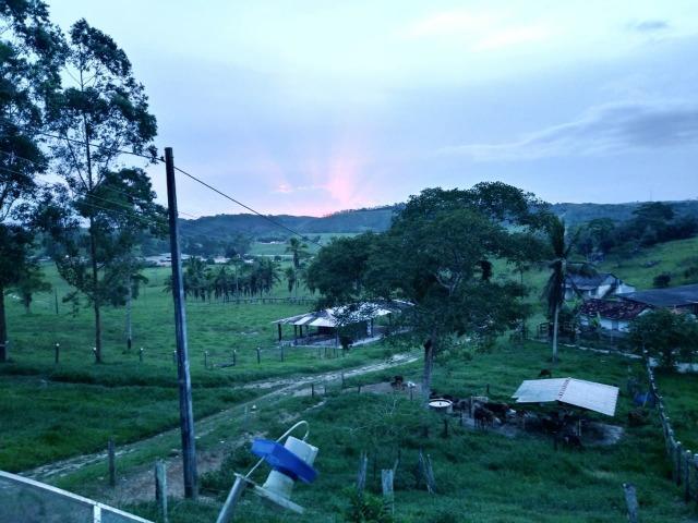 Excelente fazenda de pecuária e café na BR 101, - Foto 2