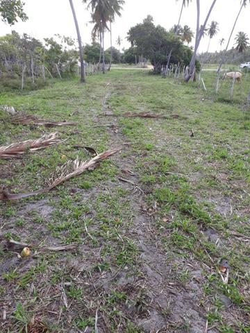 Patacho, venha morar ou ter um negocio em uma das praias mais belas do país. - Foto 3