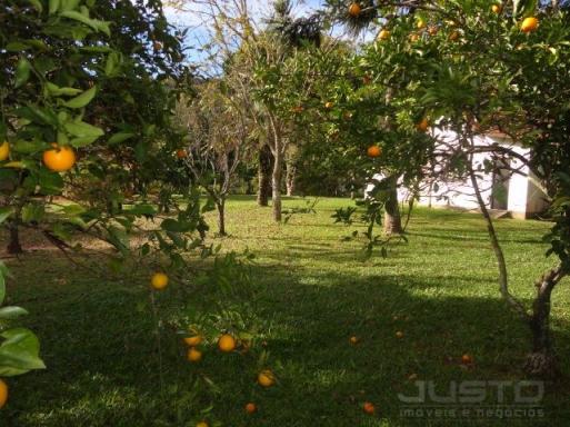 Chácara à venda em Lomba grande, Novo hamburgo cod:9268 - Foto 5