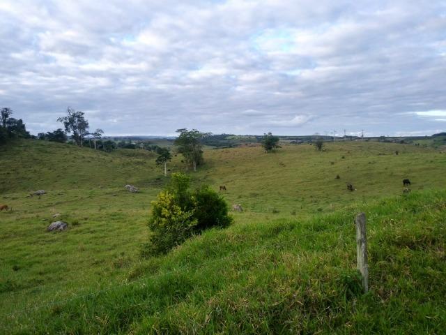 Excelente fazenda de pecuária e café na BR 101, - Foto 4