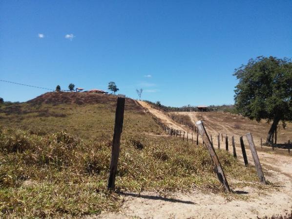 Fazenda de gado em formosa do rio preto. excelente. - Foto 10