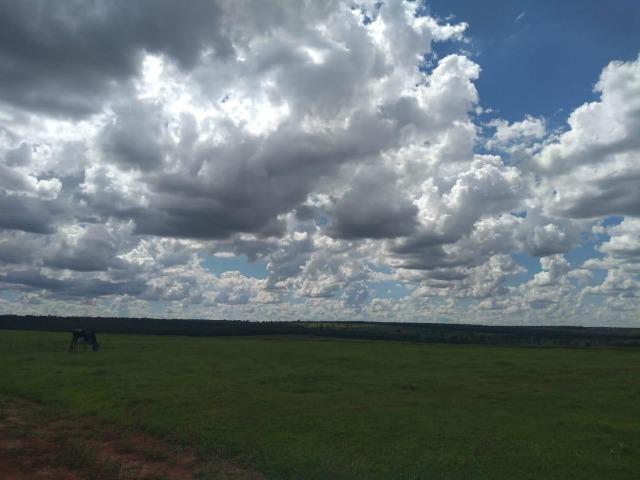 Fazenda pecuária 320 alq. Mato Grosso do Sul