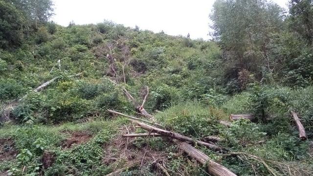 Chácara em Mairinque - Foto 12