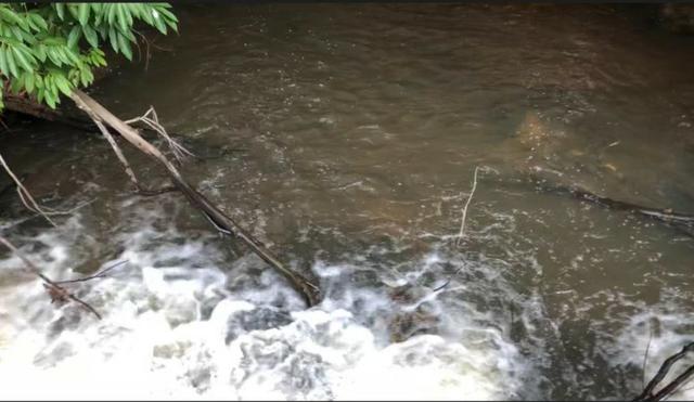 Chácara Pego imóvel muita água com cachoeira - Foto 10