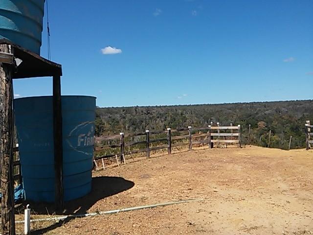 Fazenda de gado em formosa do rio preto. excelente. - Foto 20
