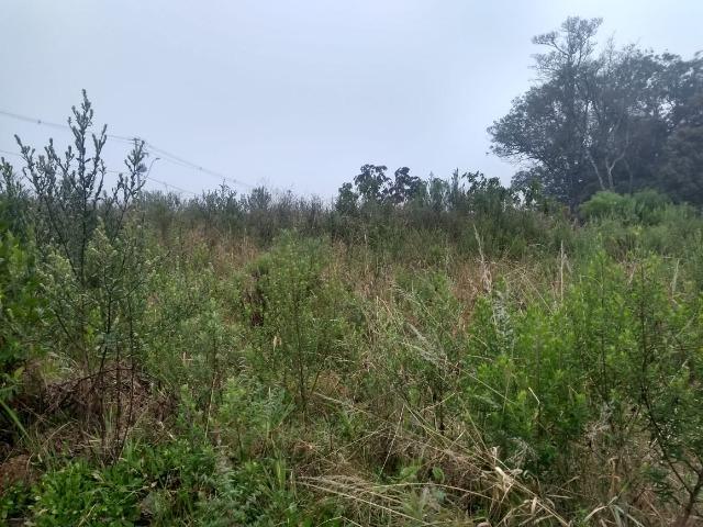 Exclusividade Imóveis Union! Terrenos com escritura e com possibilidade de parcelamento! - Foto 14