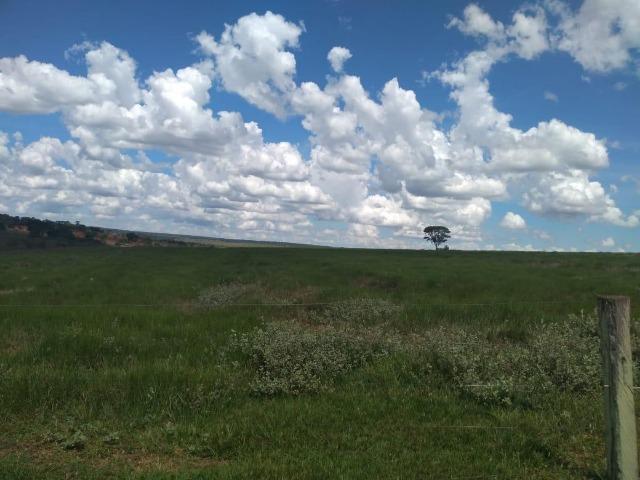 Fazenda pecuária 320 alq. Mato Grosso do Sul - Foto 15