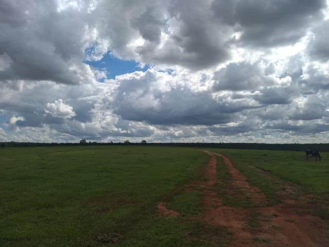 Fazenda pecuária 320 alq. Mato Grosso do Sul - Foto 9