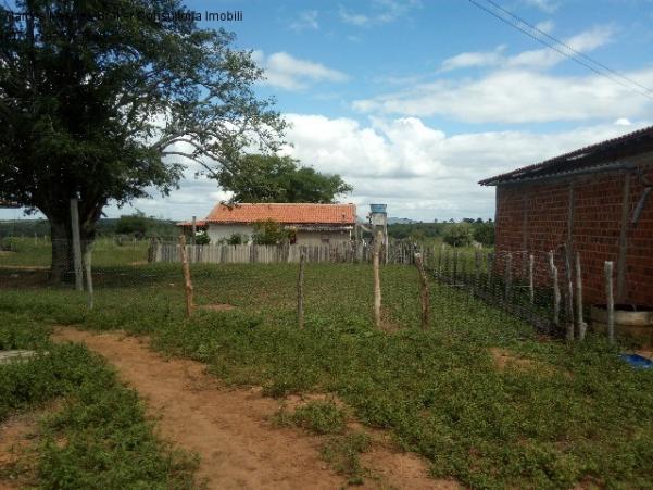 Fazenda a venda em baixa grande - bahia / brasil. - Foto 4