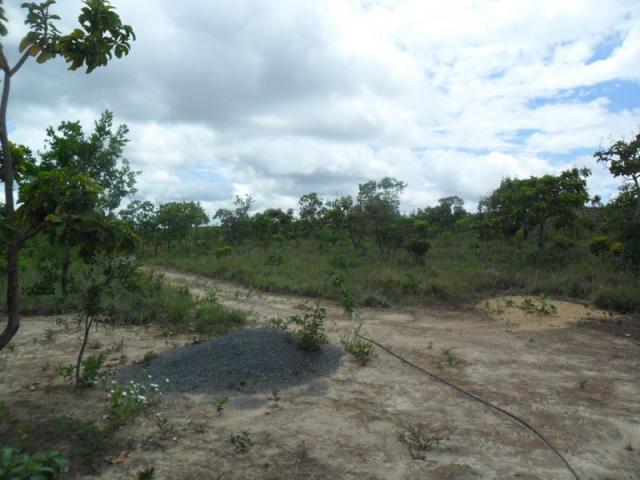 Chácara à venda com 3 dormitórios em Zona rural, Três marias cod:394 - Foto 15