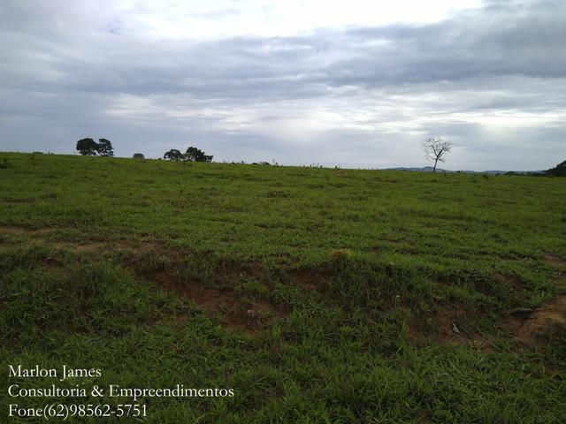 Fazenda em Americano do Brasil! - Foto 6