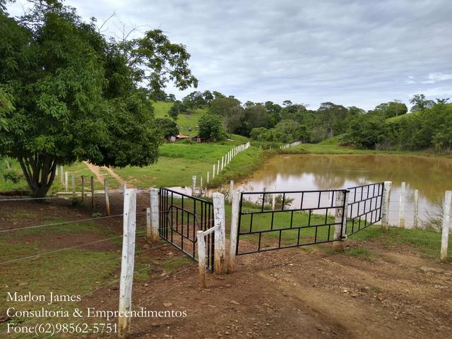 Fazenda em Americano do Brasil-Go! - Foto 4