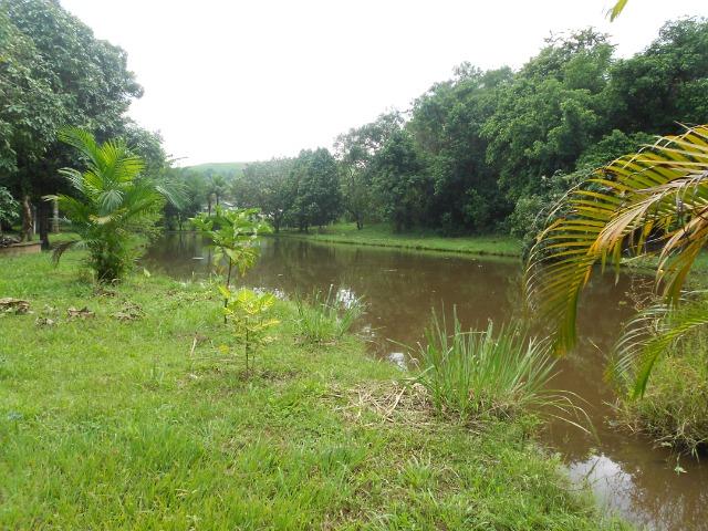 Jordão Corretores - Fazendinha 18 hectares Cachoeiras de Macacu - Foto 12