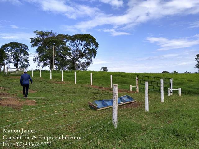 Fazenda em Americano do Brasil! - Foto 12