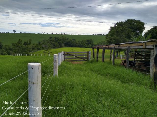 Fazenda em Americano do Brasil! - Foto 13