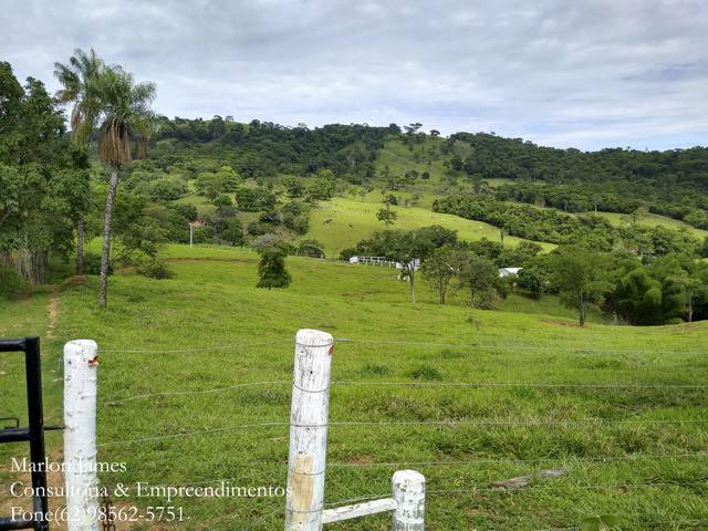 Fazenda em Americano do Brasil! - Foto 16