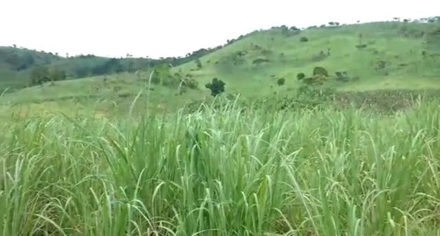 Propriedade de 140 hectares, entre Vitória e Escada-PE. - Foto 2