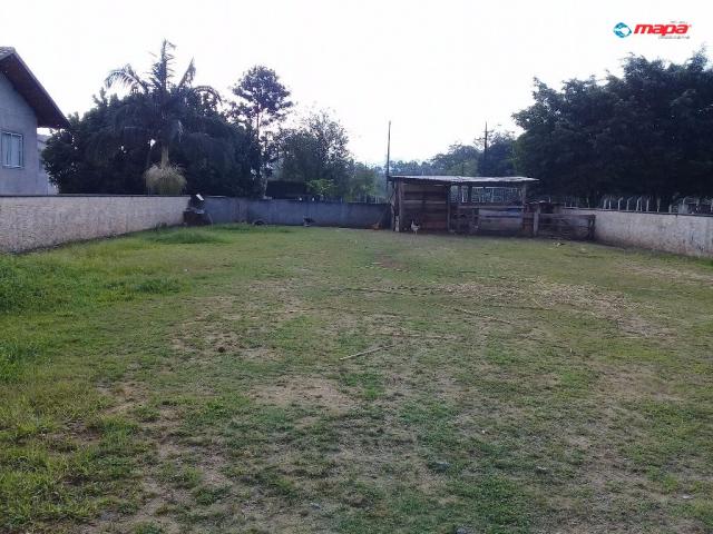 Terreno para alugar em Araponguinhas, Timbó cod:2557 - Foto 5