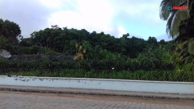 Terreno para alugar em Tiroleses, Timbó cod:2556