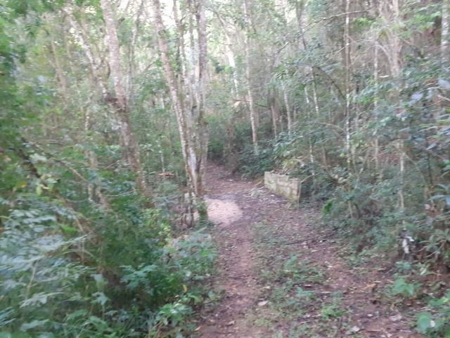 Sitio Jundiaí em condomínio de chácaras - Foto 3