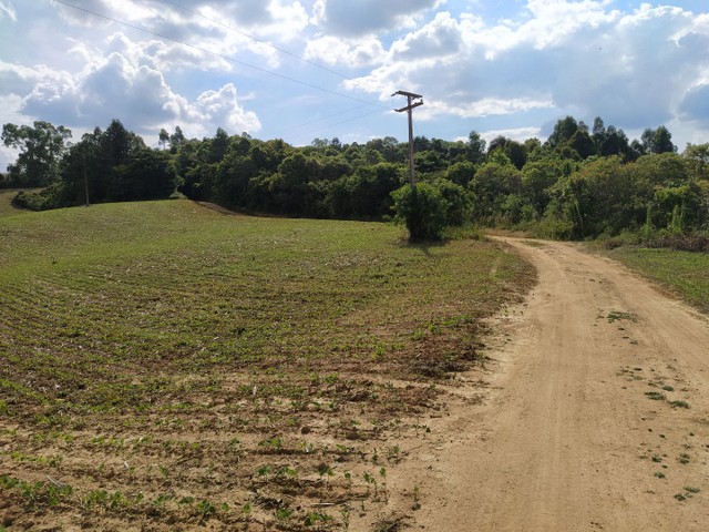 Sitio estrada doce fino - Foto 3